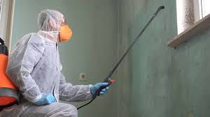 Professional Mold Inspection in Alturas, FL